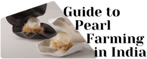 Guide to Pearl Farming in India