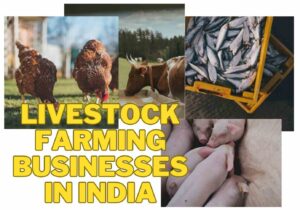 Livestock Farming Businesses in India