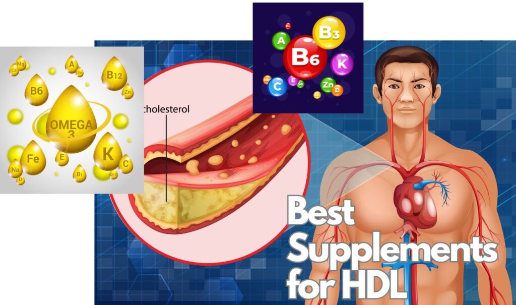 best supplements to increase HDL