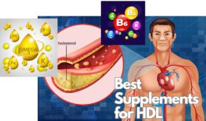 Best Supplements for HDL