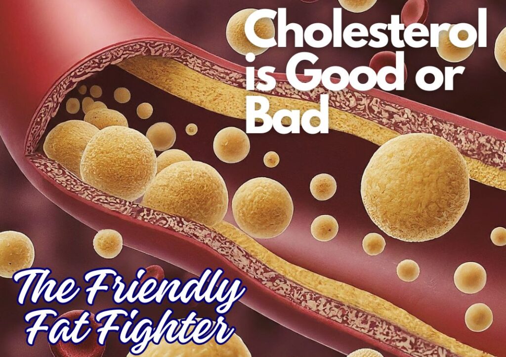 HDL cholesterol is good or bad